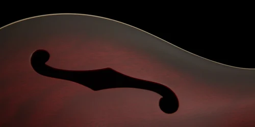 PRS SE Hollowbody Standard Fire Red Burst в Москве c доставкой