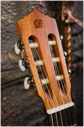 Perez 600 в Москве c доставкой