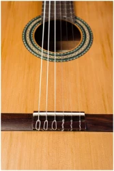 Perez 600 в Москве c доставкой