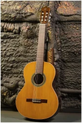 Perez 610 Cedar в Москве c доставкой