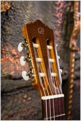 Perez 610 Cedar в Москве c доставкой