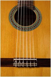 Perez 610 Cedar в Москве c доставкой