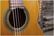 Perez 610 Cedar в Москве c доставкой