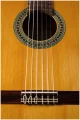 Perez 610 Cedar в Москве c доставкой
