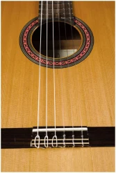 Perez 620 Cedar в Москве c доставкой