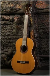 Perez 620 Cedar в Москве c доставкой