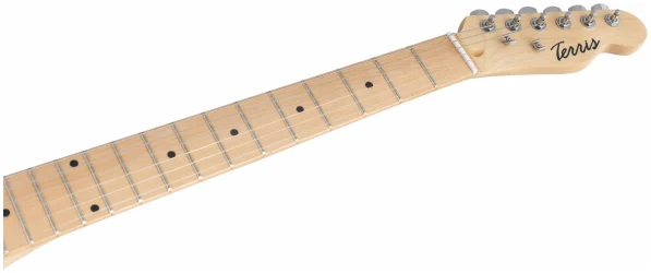 Terris TTL-039 BK в Москве c доставкой