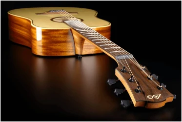 Lag T-88D в Москве c доставкой