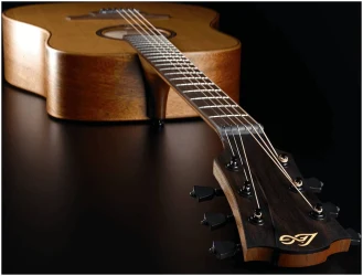 Lag T-170D в Москве c доставкой