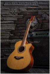 Flight F-230C NA в Москве c доставкой