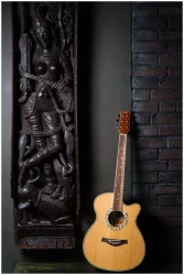 Flight F-230C NA в Москве c доставкой