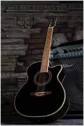 Flight F-230C BK в Москве c доставкой