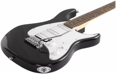 Peavey Raptor Plus Black в Москве c доставкой