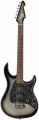Peavey Raptor Custom SLB в Москве c доставкой