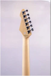 Peavey Raptor Custom Sunburst в Москве c доставкой
