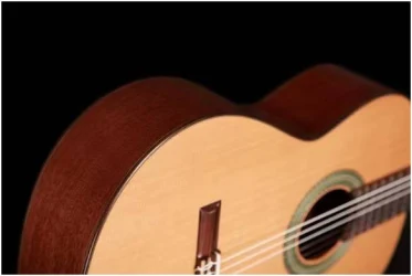 Altamira N200 в Москве c доставкой