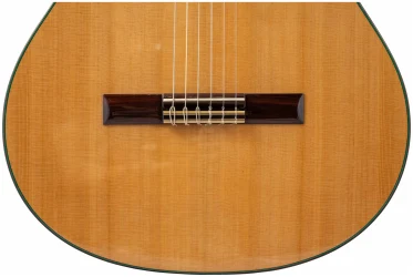 Altamira N200 в Москве c доставкой