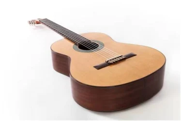 Altamira N200 в Москве c доставкой