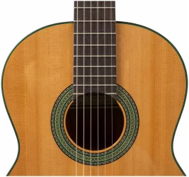 Altamira N200 в Москве c доставкой