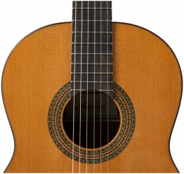 Altamira N400 в Москве c доставкой