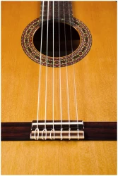 Perez 630 Cedar в Москве c доставкой