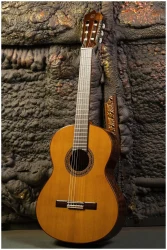 Perez 630 Cedar в Москве c доставкой