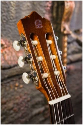 Perez 630 Cedar в Москве c доставкой