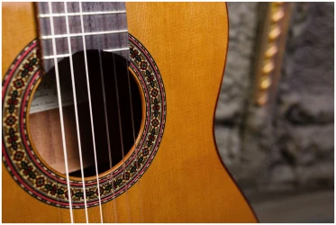 Perez 630 Cedar в Москве c доставкой