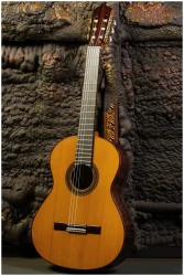 Perez 640 Cedar в Москве c доставкой