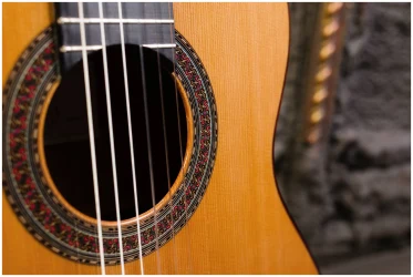 Perez 640 Cedar в Москве c доставкой