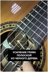 Perez 650 Spruce в Москве c доставкой