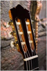 Perez 650 Cedar в Москве c доставкой