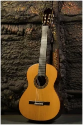 Perez 650 Cedar в Москве c доставкой