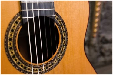 Perez 650 Cedar в Москве c доставкой