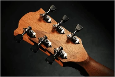 Lag T-70D CE NAT в Москве c доставкой