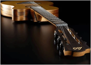 Lag TN-170ASCE в Москве c доставкой