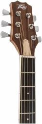 Peavey DW-2 CE Solid Top Cutaway w/Case в Москве c доставкой
