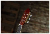 Peavey CNS 2 в Москве c доставкой