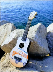 Flight TUS-25 BUS в Москве c доставкой