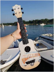 Flight TUS-25 BUS в Москве c доставкой