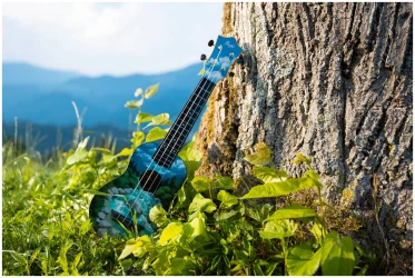 Flight TUS-30 SLO в Москве c доставкой