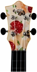 Flight TUS-40 PIZZA в Москве c доставкой