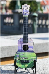 Flight TUS-40 VIEW в Москве c доставкой