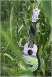 Flight TUS-40 VIEW в Москве c доставкой