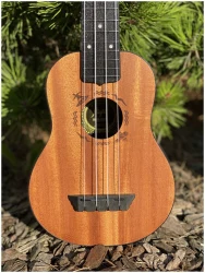 Flight TUS-53 MAH в Москве c доставкой