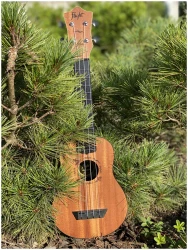 Flight TUS-53 MAH в Москве c доставкой