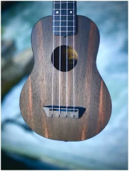 Flight TUS-55 AMARA в Москве c доставкой