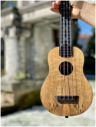 Flight TUS-55 MANGO в Москве c доставкой