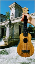 Flight TUS-55 MANGO в Москве c доставкой