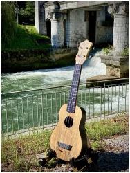 Flight TUS-55 MANGO в Москве c доставкой